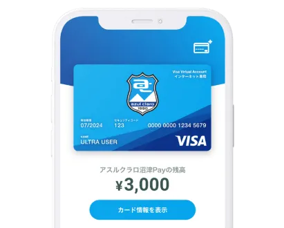 digina card